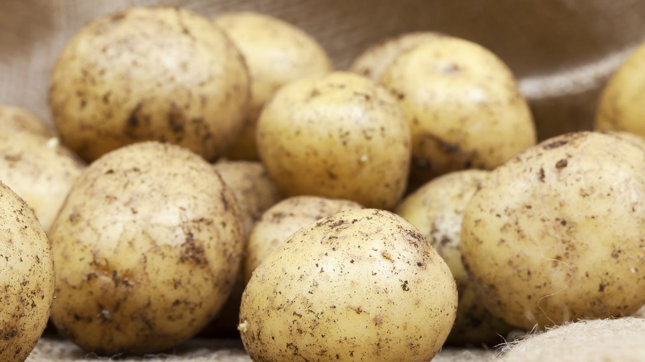Potatoes